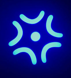 9 Farben + weißes LED-bewegliches Hauptscheinwerferlicht/Mini-LED-Wäsche-beweglicher Kopf
